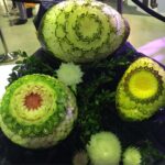 07-Petržela Vojtěch-FINÁLE