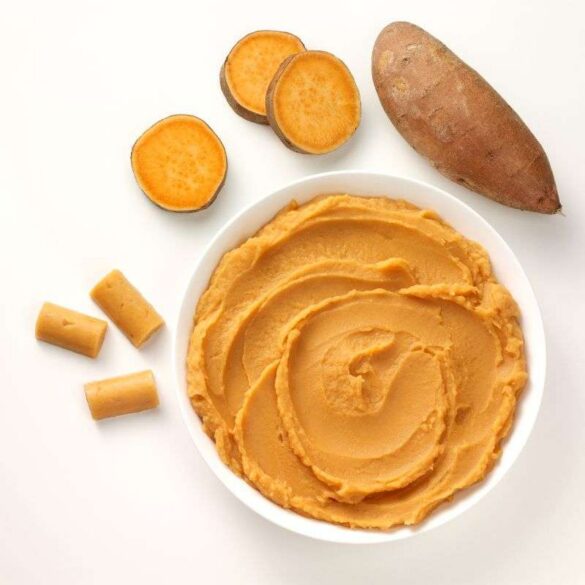 A2Z SweetPotatoePuree 300 2w