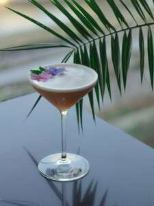 Simia Sour 2