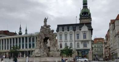 Brno město