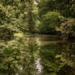 Foto_Pivovar Radegast_Nošovické rybníčky_2w