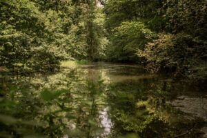 Foto Pivovar Radegast Nosovicke rybnicky 2w