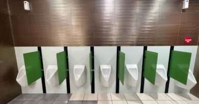 ecostep