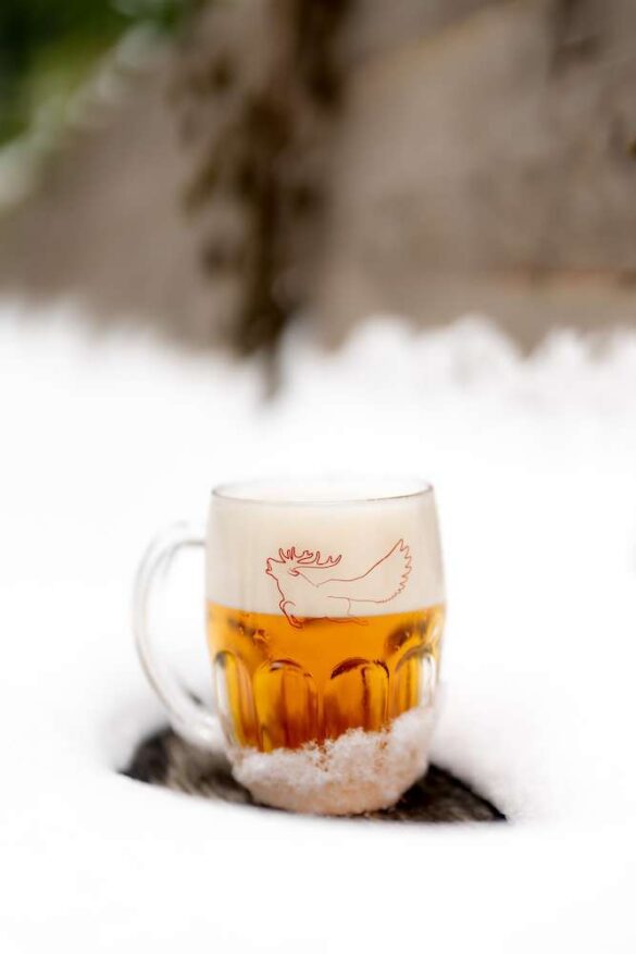 06 Vanoce cerveny jelen 23