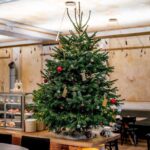 08 Vánoce-červený jelen 23