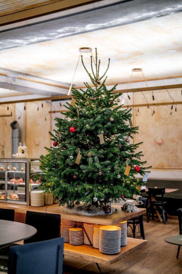 08 Vanoce cerveny jelen 23