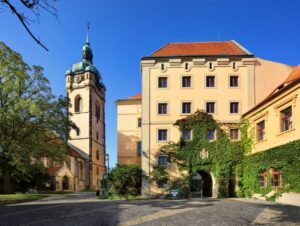 Melnik Libor Svacek w