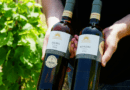 Decanter World Wine Awards 2025