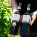 Sonberk_oceněná vínaw