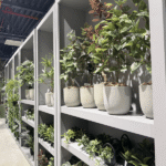 Trendy květinové dekorace - více na www.hoteltrend.cz