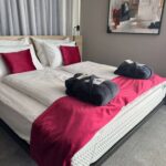 b730a312-1861-44a0-a444-afea57f681ae