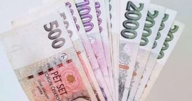 Průzkum: Hotovost jako jistota i nutnost Průzkum: Hotovost jako jistota i nutnost