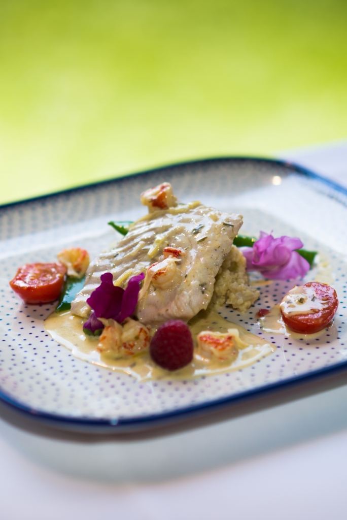 ryba od Baltu_2_FOTO_Jana_Plavec - Copy