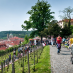 PhotoPick-262335-original_medialist w