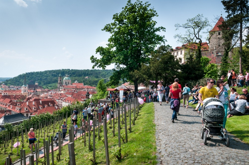 PhotoPick 262335 original medialist w