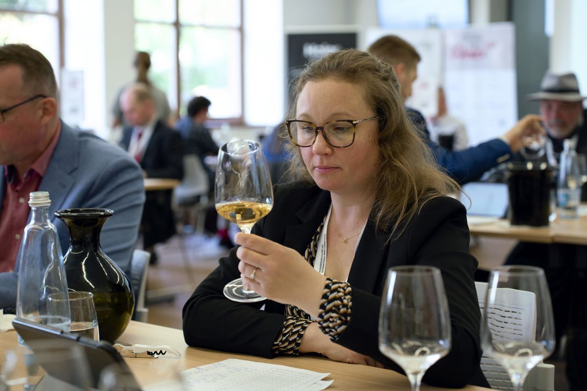 Grand Prix Vinex 2026 vyhrál Veltlín z Vinařství Volařík Grand Prix Vinex 2026
